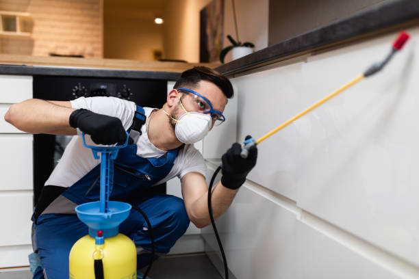 Best Best Pest Control Companies  in Athens, PA