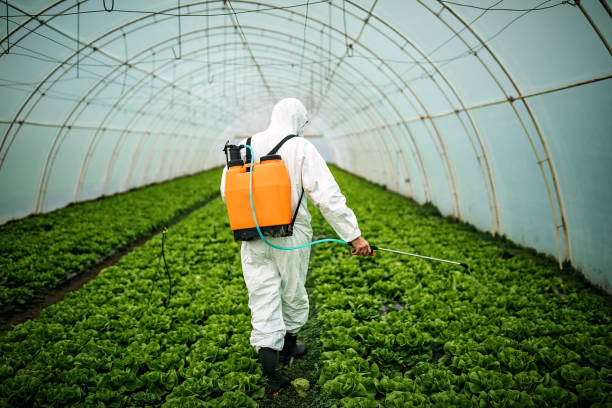 Best Mosquito Control Services  in Athens, PA