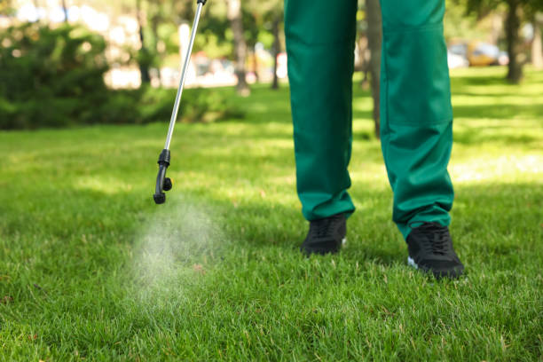 Best Pest Control Treatment  in Athens, PA