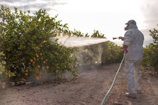 Best Residential Pest Control  in Athens, PA