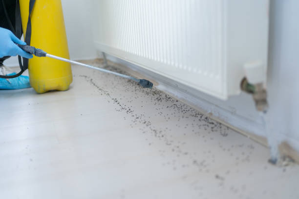 Best Local Pest Control Services  in Athens, PA