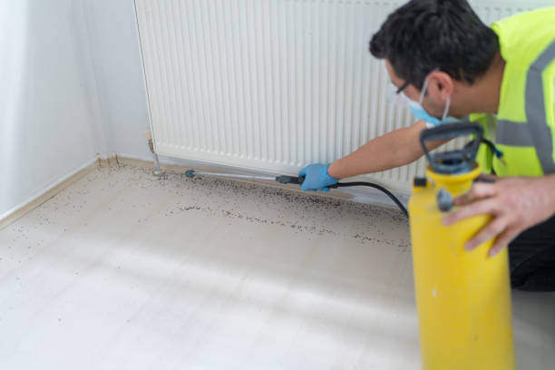Best Bed Bug Extermination  in Athens, PA
