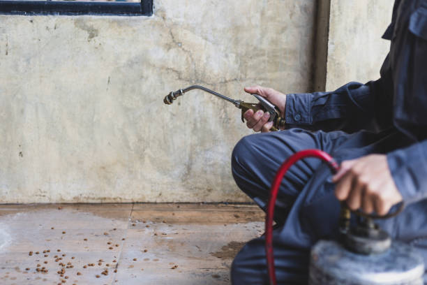 Best Pest Removal Services  in Athens, PA